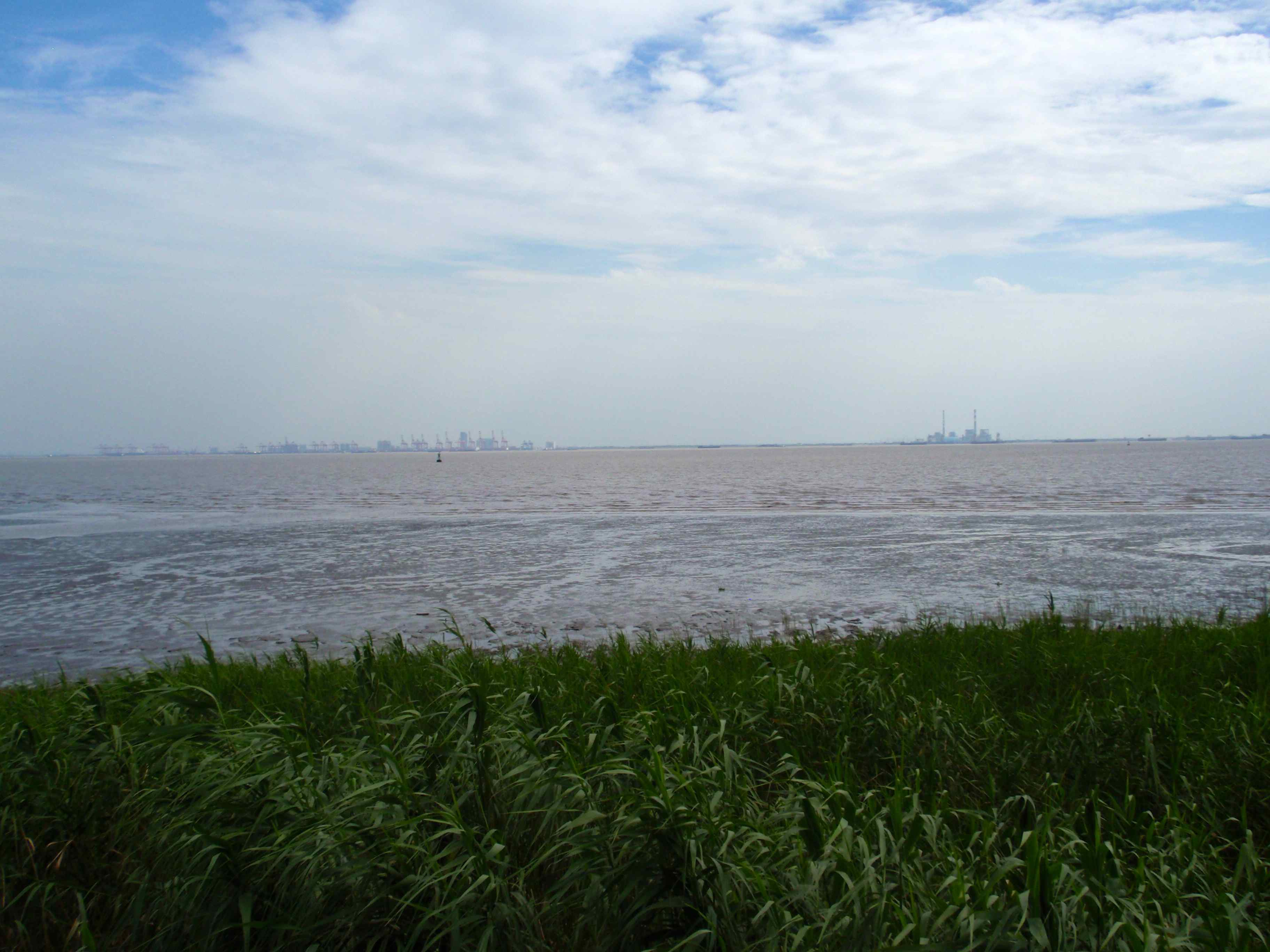 湿地风光－蓝天白云黄滩绿苇