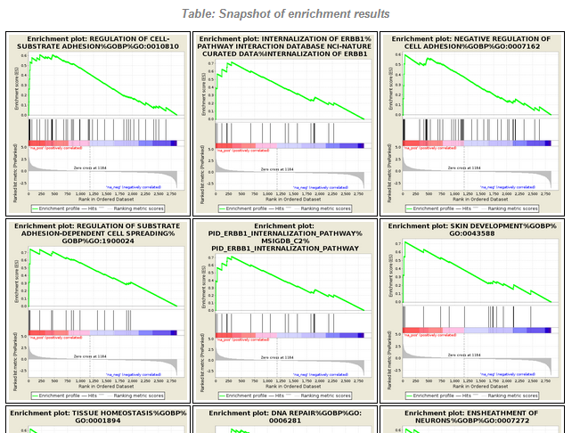 Proteomics GSEA results (with Melendez Lab @Hunter)