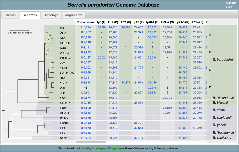 Fig02-genomes.jpg