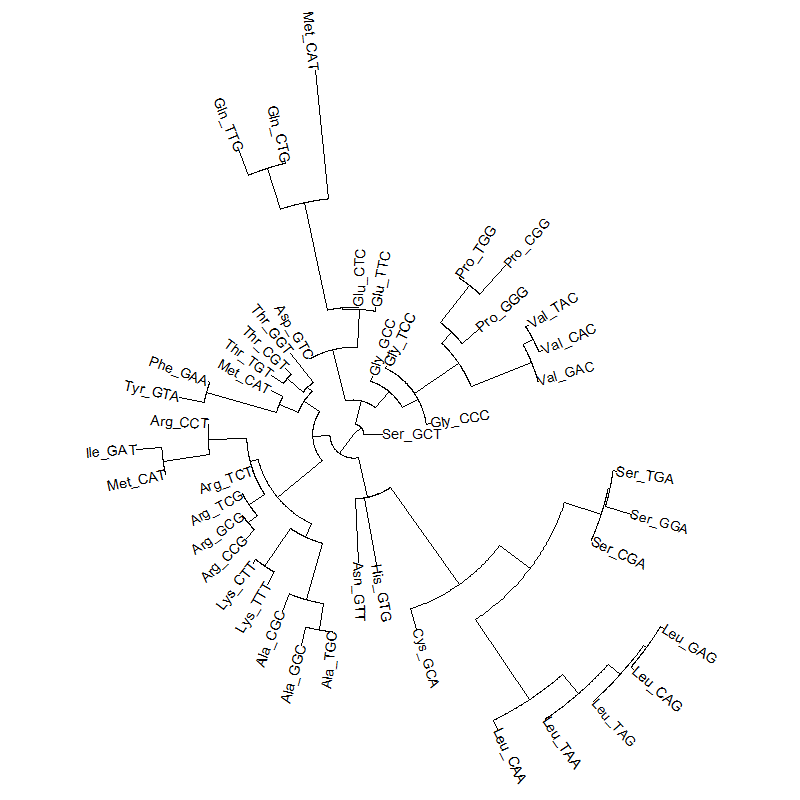A tRNA gene tree from Aeropyrum pernix (an Archaea). Sequences from an rRNA database. Structual alignment available
