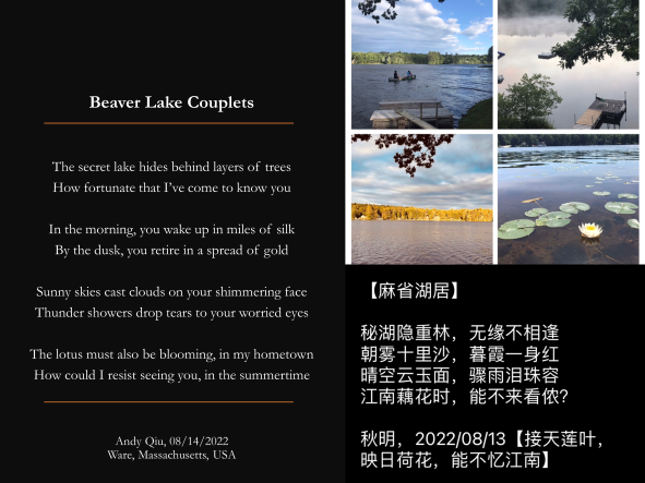 File:Beaver-lake-small.png