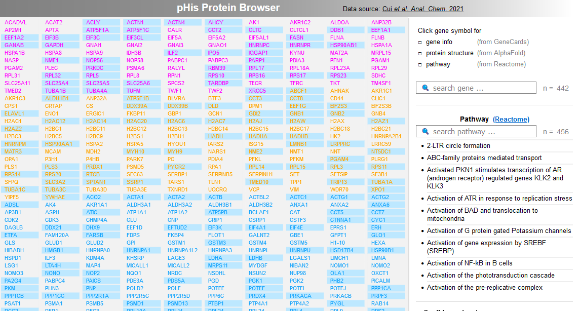pHis Protein Browser (with Skolnik lab @NYU)