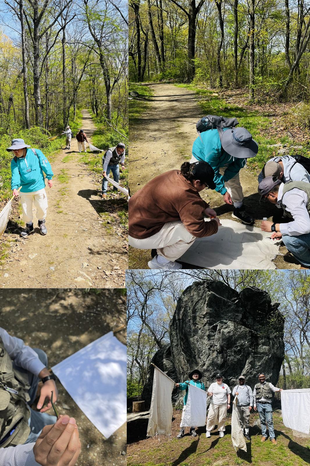 Apr 2025, Rockefeller State Park, NY